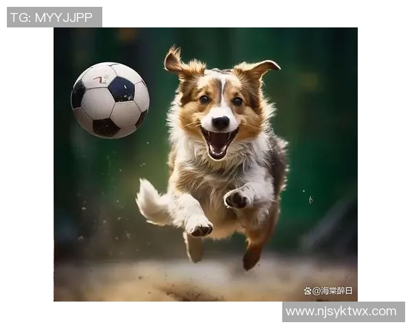 狗狗眼足球明星的魅力与热爱如何影响球场表现与粉丝心灵