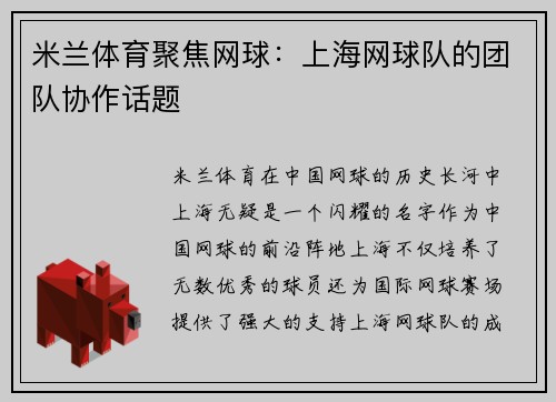 米兰体育聚焦网球：上海网球队的团队协作话题